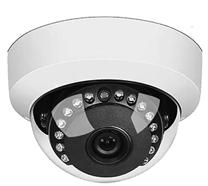 security dome